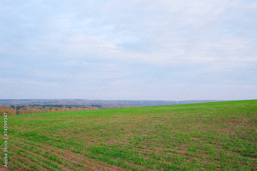 image of a field
