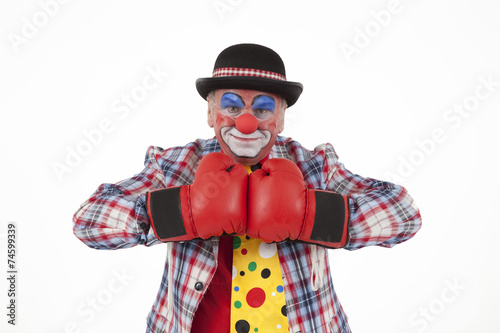 Clown mit Boxhandschuhe © artfocus