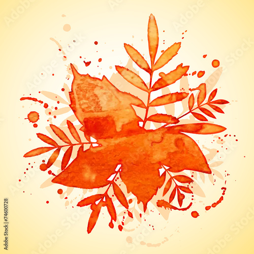 Autumn watercolor rowan leaves and spray, vector illustration