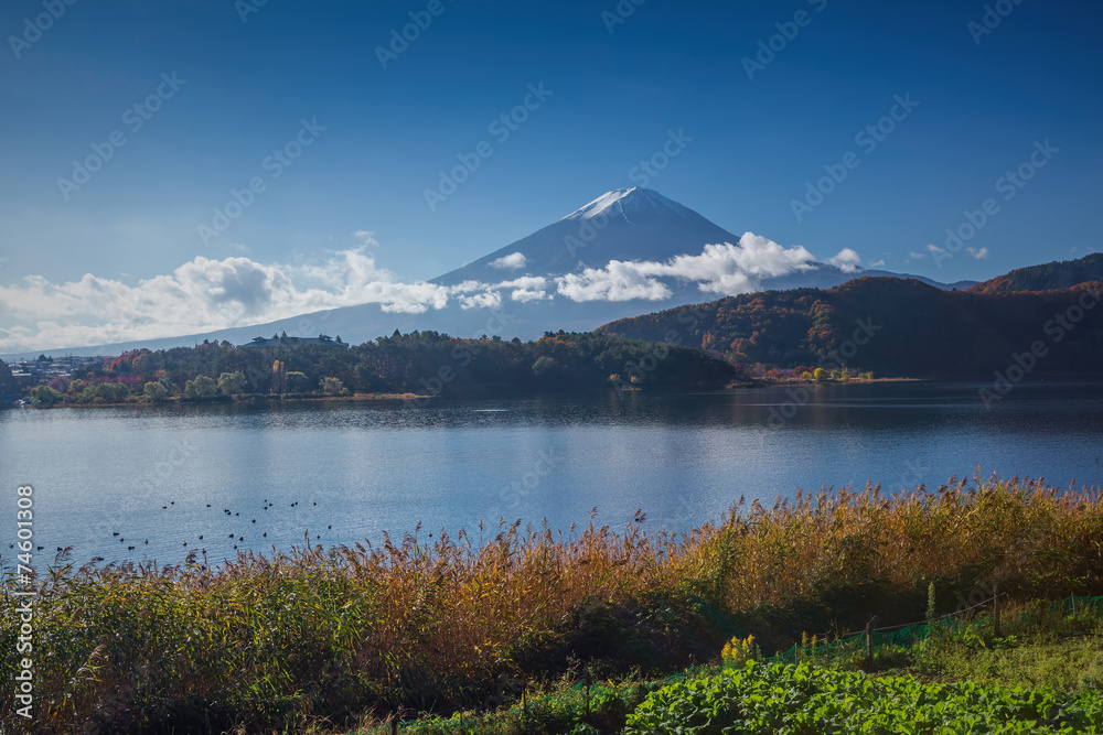 View of Mount Fuji from lake Kawaguchiko