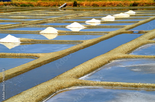 petits mulons de sel marais Noirmoutier photo