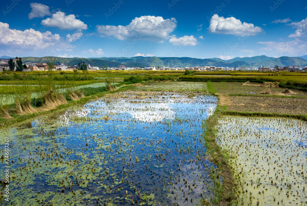 chinesische Landwirtschaft Stock-Foto | Adobe Stock