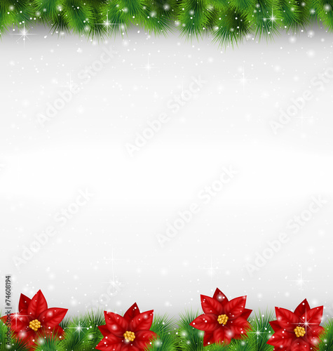 Shiny green pine branches like frame with flower of poinsettia i