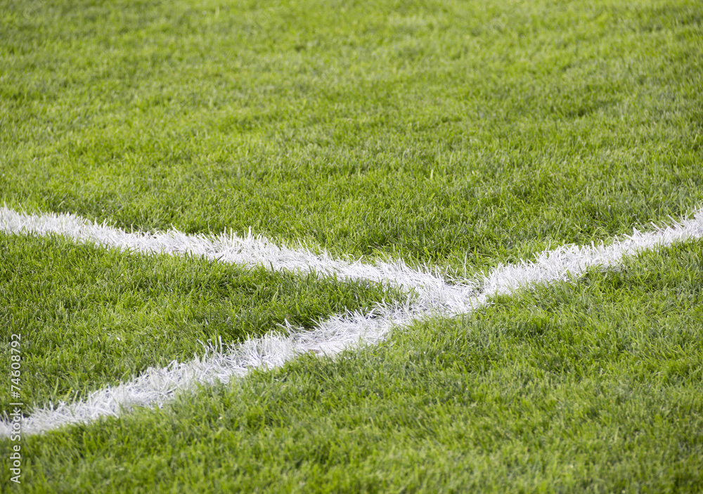 close-up grass at soccer field with corner line