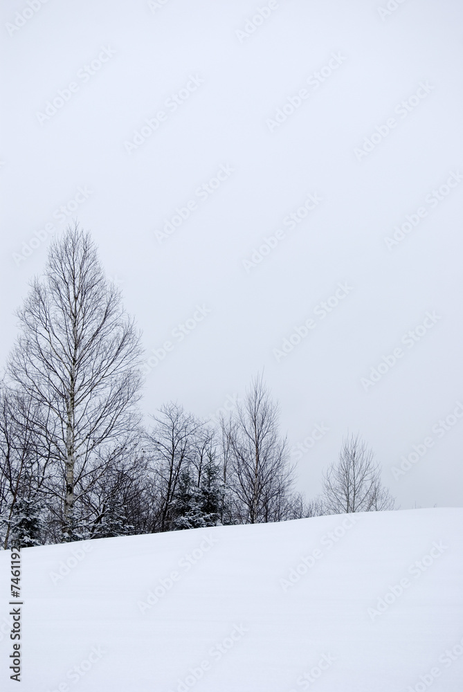 Fototapeta premium Winter Scene after a Snow Storm