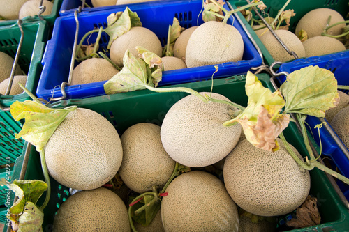 Cantaloupe melons in the market