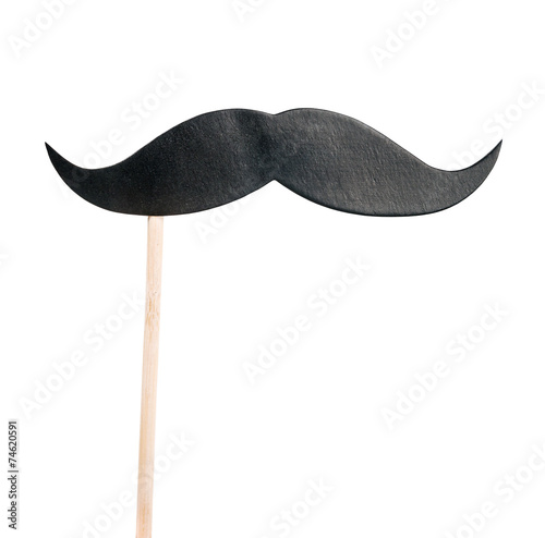 Cuadro en lienzo mustache paper on a stick isolated on white