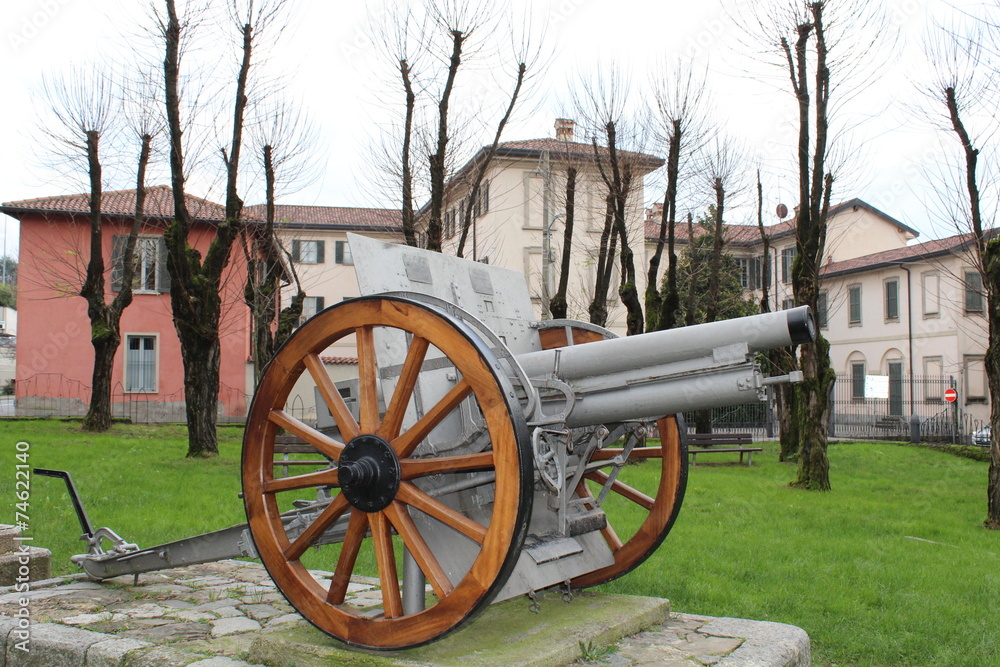 cannon Austrian