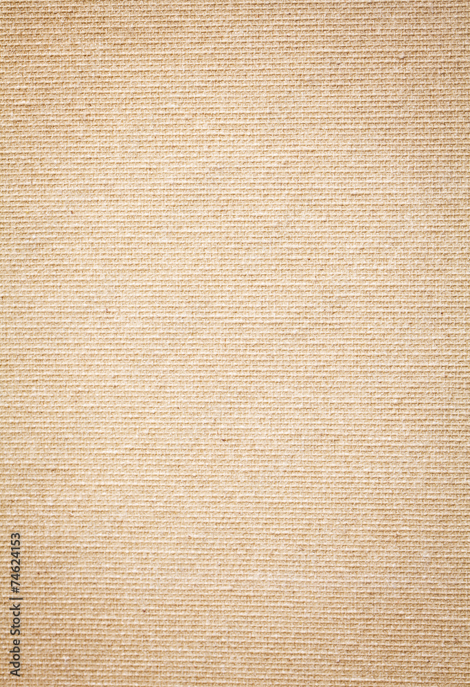 Canvas Background texture Canvas Background texture