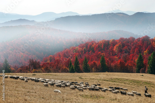 Transcarpathian pastures in autumn