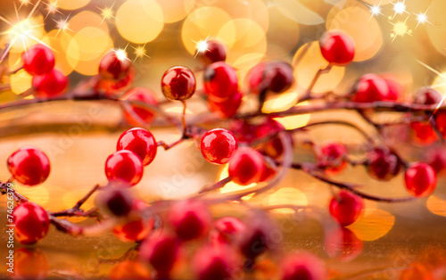 Christmas berries. New Year decorations over golden background