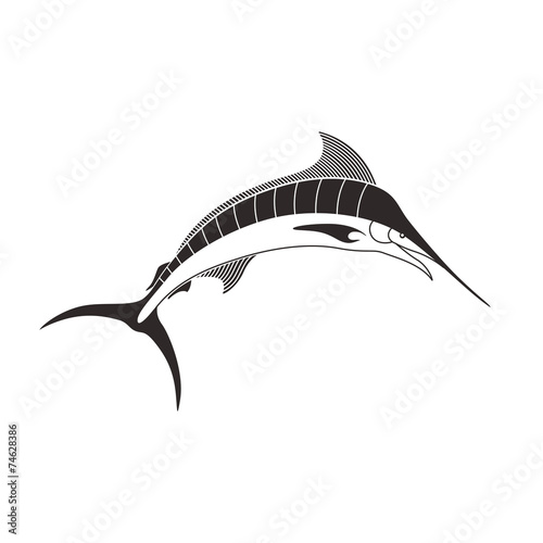 Vector Illustration of a Marlin Fish photo