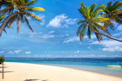 Perfect tropical beach with palms and sand  Mauritius