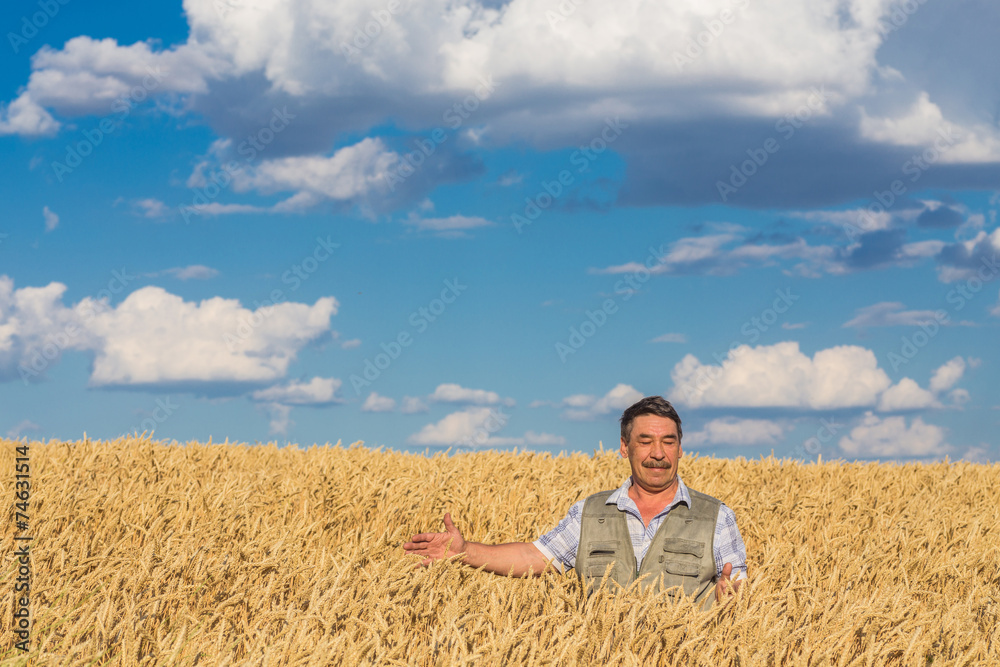 farmer standing in a wheat field farmer standing in a wheat field