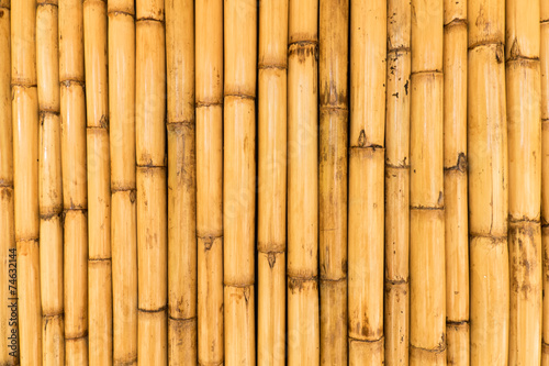 Yellow bamboo wall