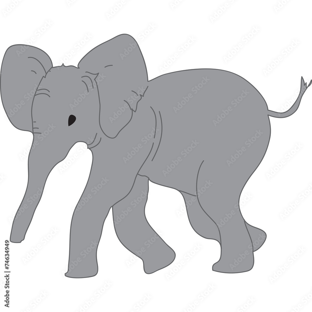 Fototapeta premium elefante