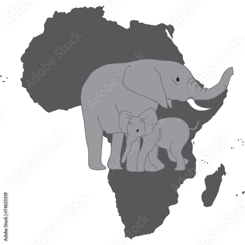elefante