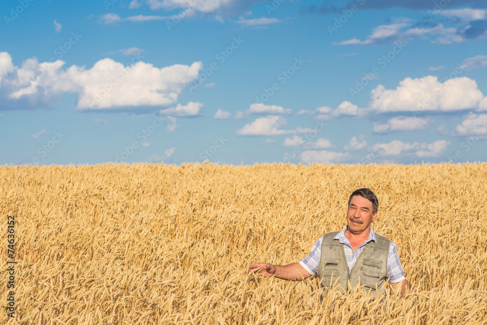 farmer standing in a wheat field farmer standing in a wheat field