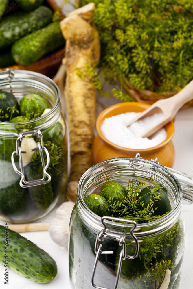 Homemade pickles in brine with garlic, dill and horseradish Homemade pickles in brine with garlic, dill and horseradish