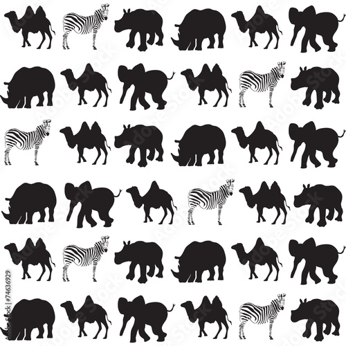 africa