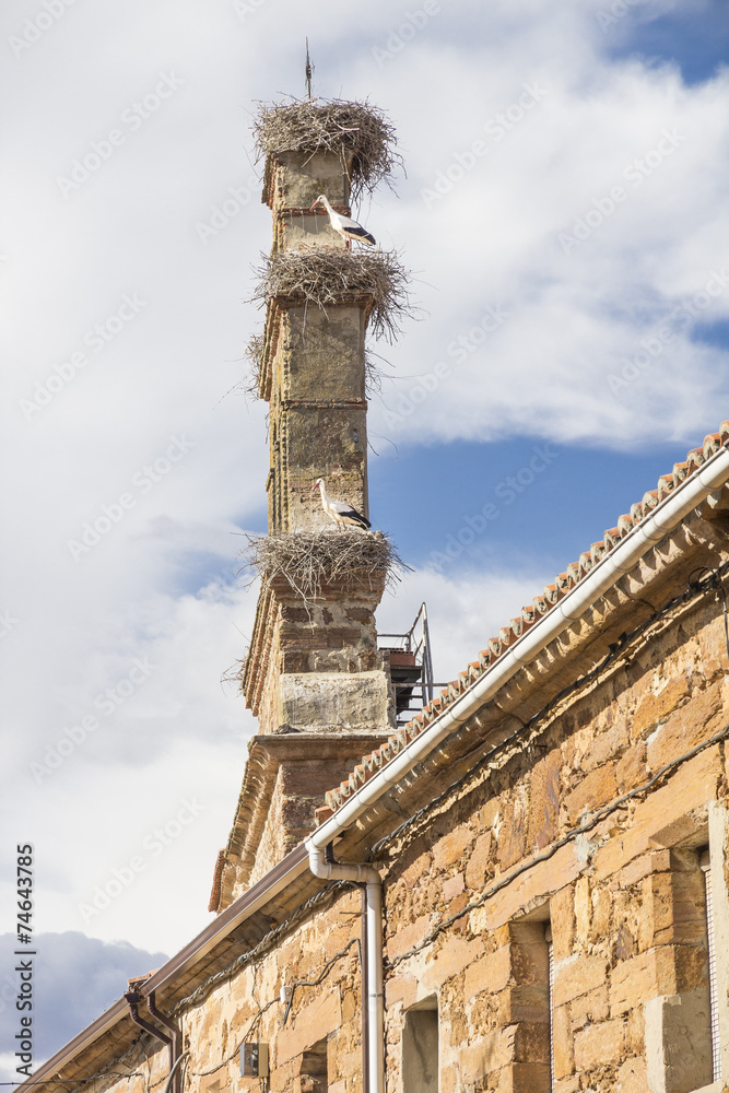bell tower with nests of storks in Tabara, Spain