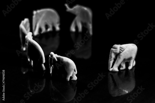 Riunione photo
