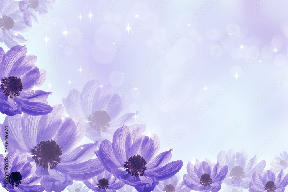 Obraz premium fantastic background with flower anemone