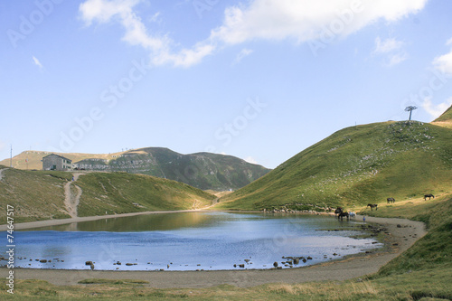 Cavalli assetati al Lago Scaffaiolo: Tra Toscana e Bologna lago di montagna al rifugio photo