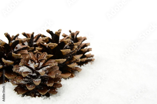 Group of christmas pine cones on snow at corner