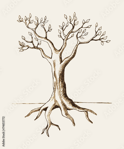 Sketch illustration of a tree