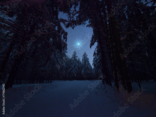 Beautiful night winter landscape with the stars