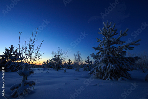Beautiful night winter landscape with the stars
