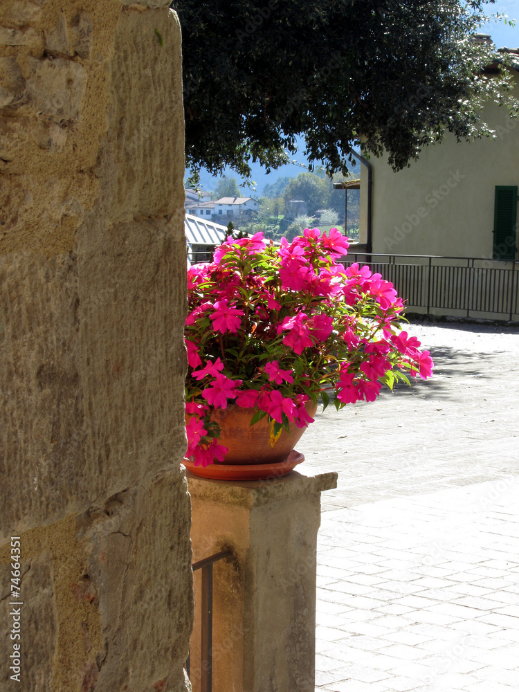 Fototapeta premium Vase of flowers just around the corner