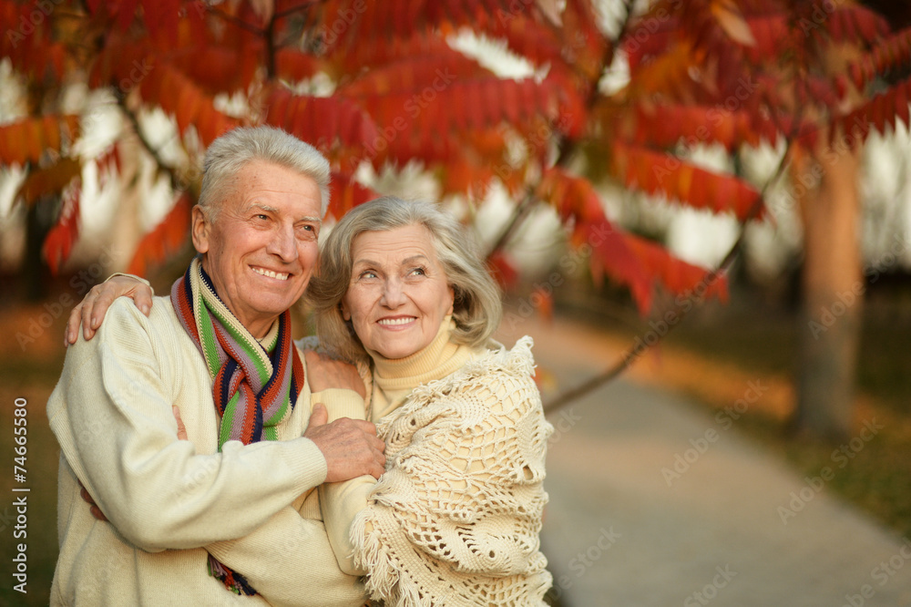 Fototapeta premium Mature couple in the autumn park