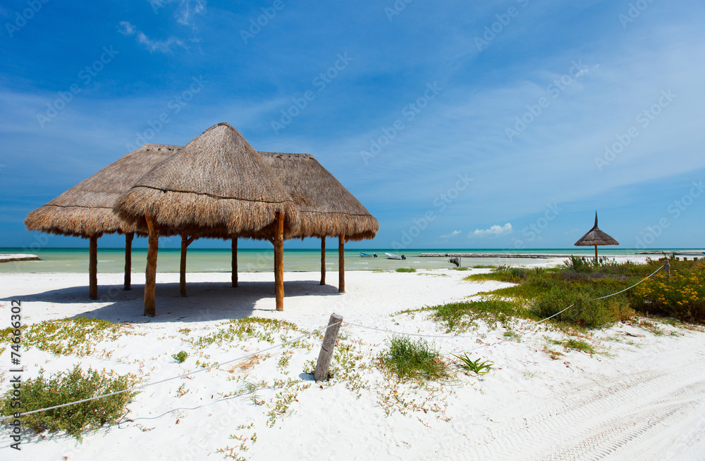 Tropical vacation Tropical vacation