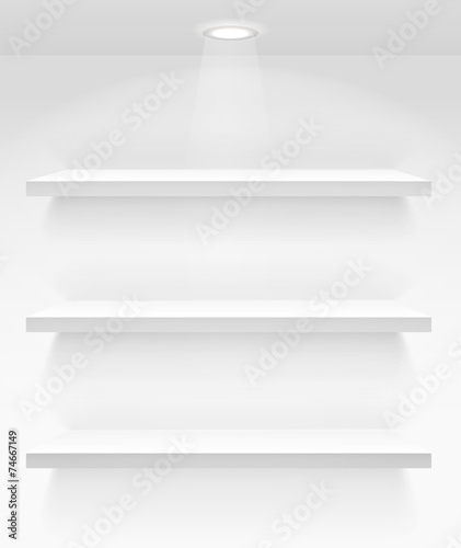 Empty book shelves on the wall