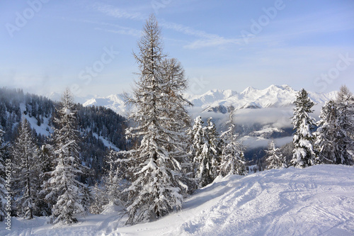Dolomiten Alps of Val di Sole