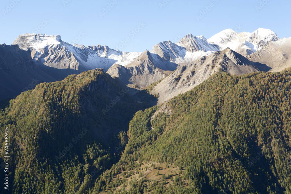 Saison Berger, Alpes de hautes Provence