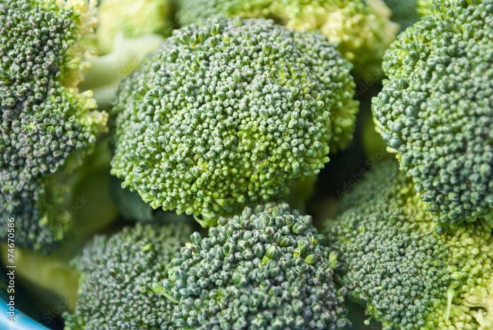 Fresh broccoli in closeup