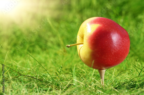 Wallpaper Mural Apple on golf tee Torontodigital.ca