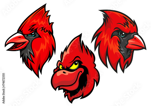 Cardinal bird heads set