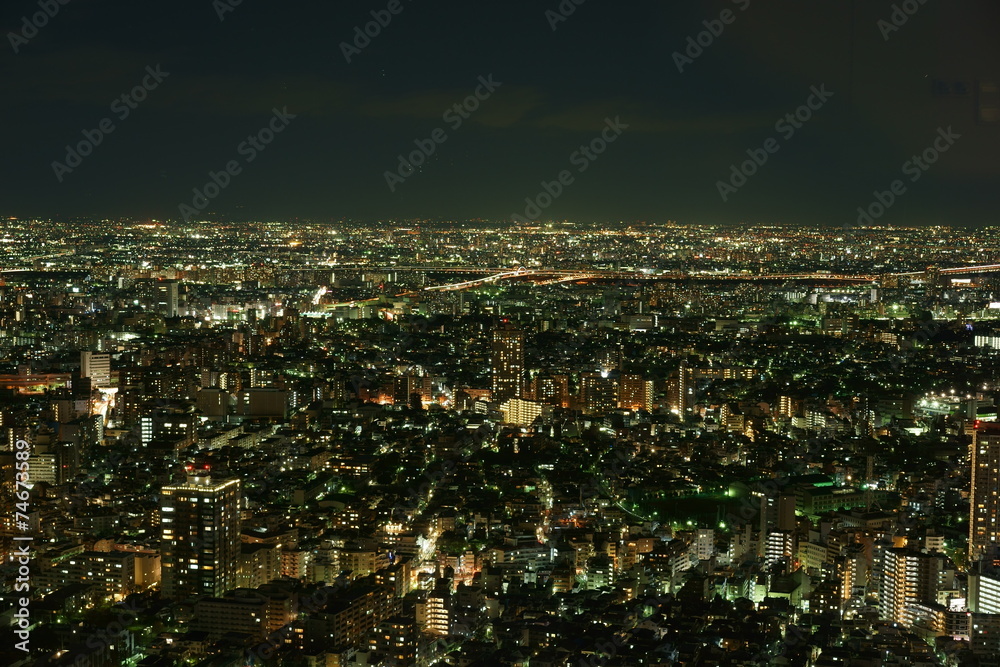 Obraz premium 東京の夜景