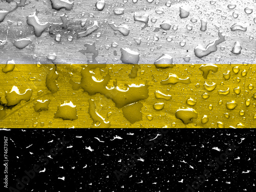 flag of Federal State of Novorossiya with rain drops photo