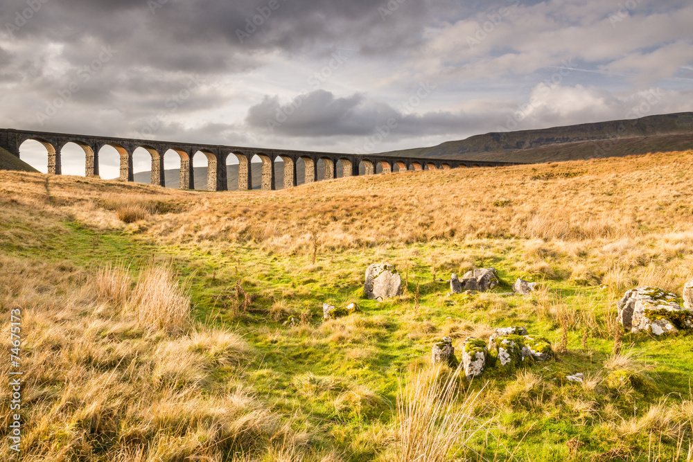 Fototapeta premium Ribblehead Railway Bridge