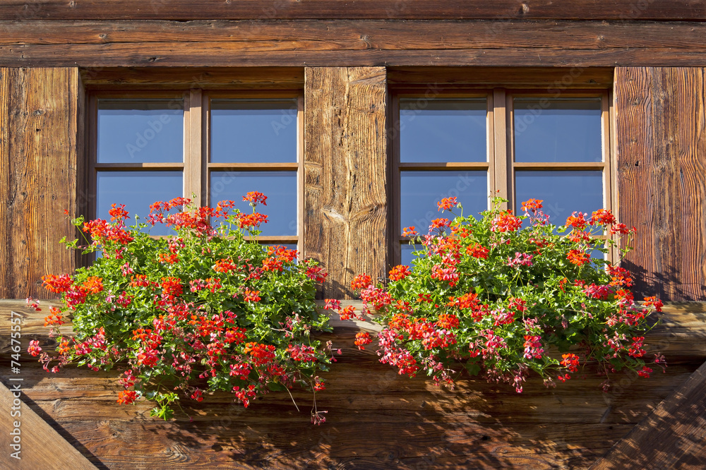 Two windows with flowers