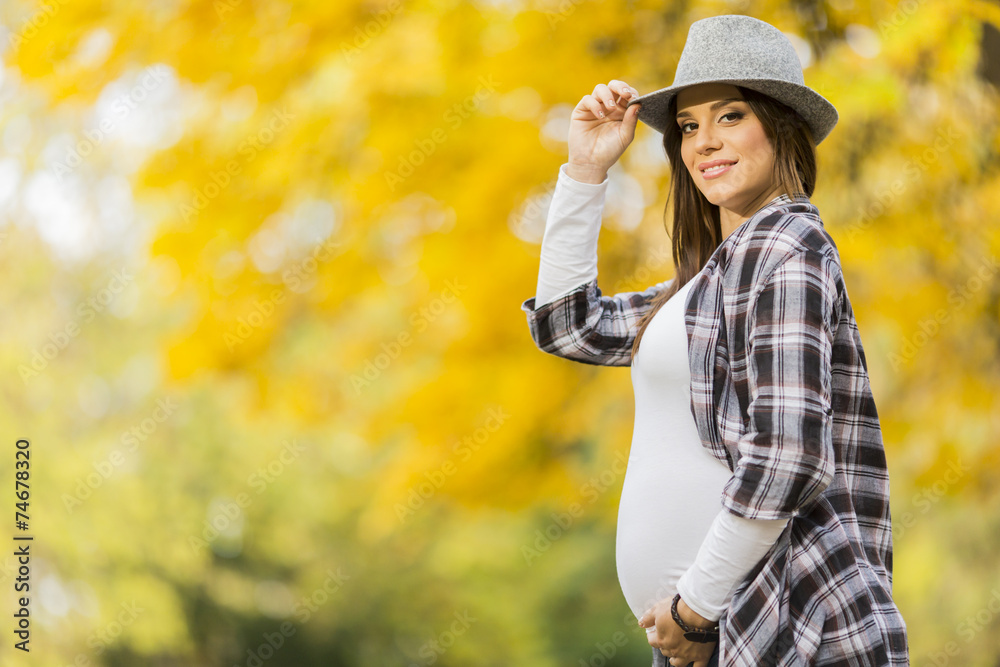 Young pregnant woman in the autumn park