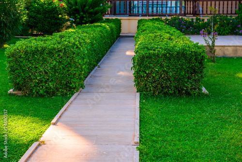 path leading to the house and green lawn