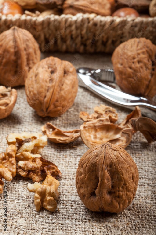 Collection of shelled nuts and nutcracker. Collection of shelled nuts and nutcracker.