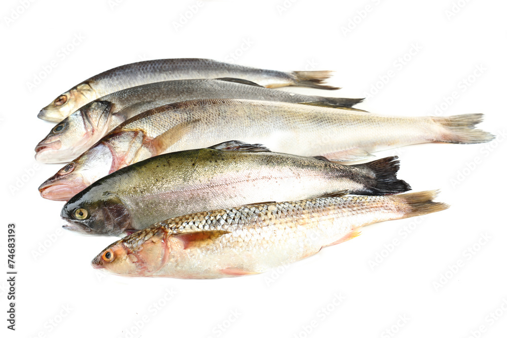 Fresh fish isolated on white