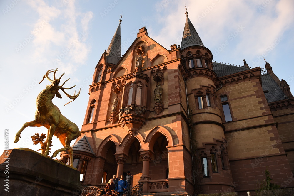 Fototapeta premium Burg Drachenfels, Abendsonne